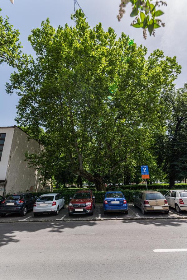 בראשוב Sabin Apartments Private Parking מראה חיצוני תמונה