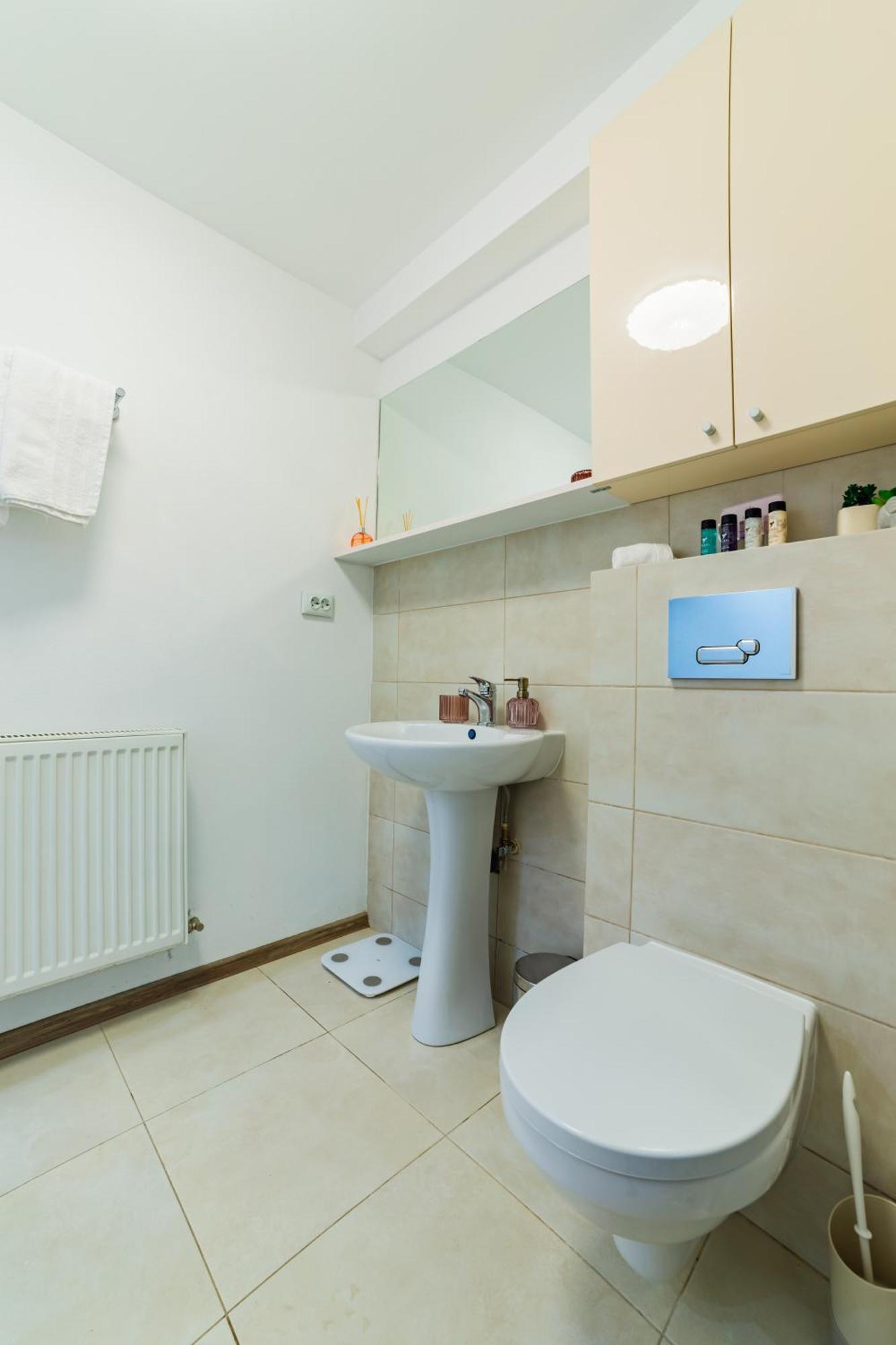 בראשוב Sabin Apartments Private Parking מראה חיצוני תמונה